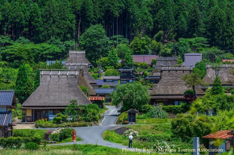 Osaka Amanohashidate & Kayabuki No Sato Full-Day Private Tour - What the private format adds