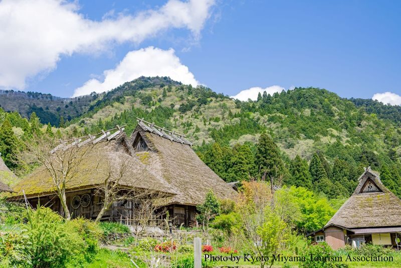 Osaka Amanohashidate & Kayabuki No Sato Full-Day Private Tour - Timing, pickup and booking details