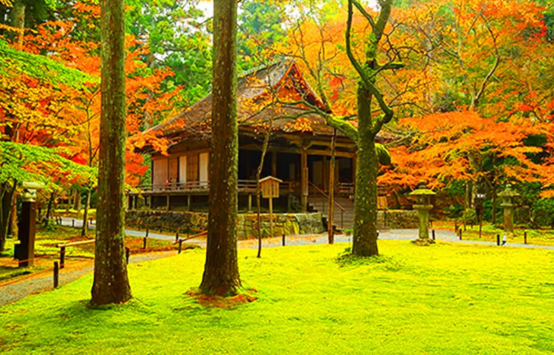 Osaka and Kyoto Biwako and La Collina Full-Day Guided Tour - Price is good only if you count the add-ons