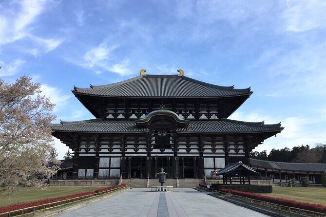 Osaka and Nara Day Tour with Private Transportation - A Closer Look at the Itinerary