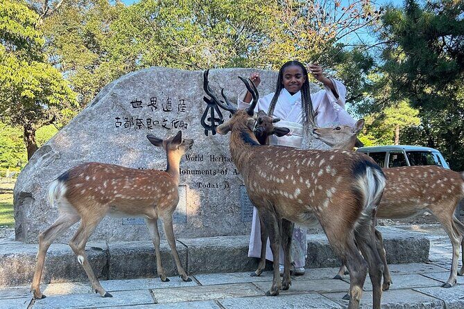 Osaka and Nara Private Car Tour with English Guide and Driver - Good To Know