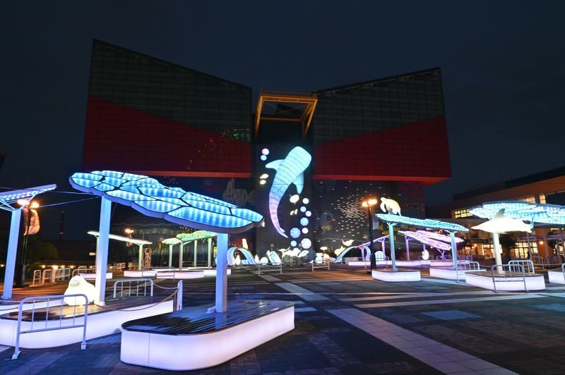 Osaka Aquarium Kaiyukan Ticket - Making the most of a weekday after 3 pm