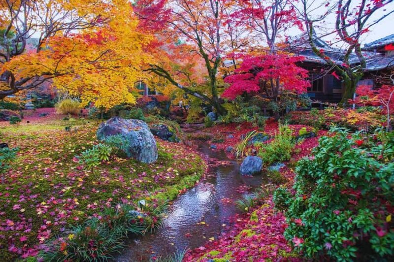 Osaka: Arashiyama Train, Fushimi Inari & Katsuo-ji Day Tour - Good To Know  