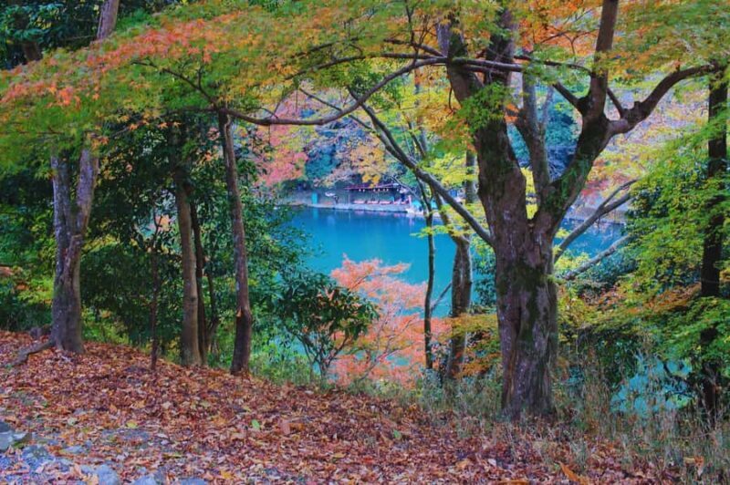 Osaka: Arashiyama Train, Fushimi Inari & Katsuo-ji Day Tour - Who Will Love This Tour?