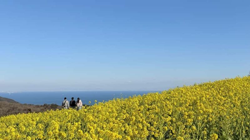 Osaka: Awaji Island Day Trip with Flower Gallery Visit - Who Is This Tour Best For?