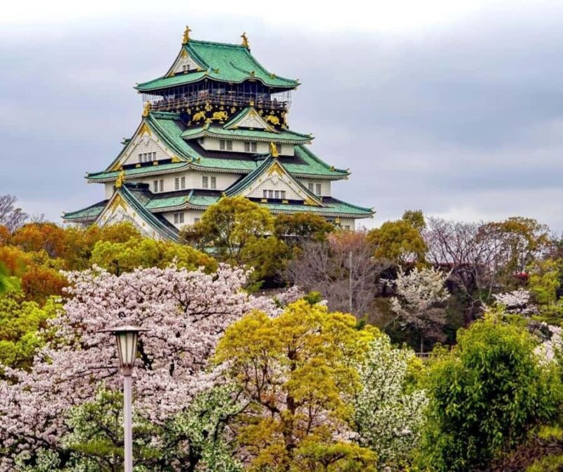 Osaka : Best Food tour with a Guide - An In-Depth Look at the Osaka Food Tour  