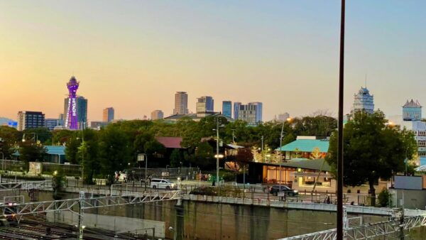 Osaka: Castillo De Osaka - Tsuruhashi - Tennoji (Guía En Español) - Consejos Para La Visita