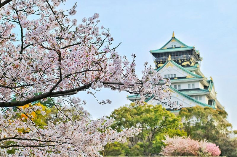 Osaka Castle 3 hours Historical Walking Tour - Nishinomaru Garden: a quieter pause