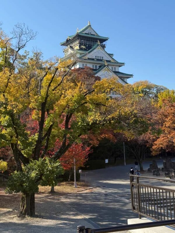 Osaka Castle: A Guided Historical Tour of the Interior and Gardens - An Introduction to Osaka Castle