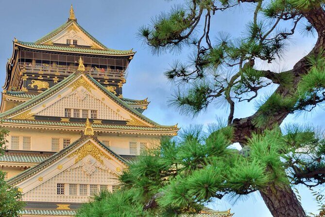 Osaka Castle Admission Ticket - Who Should Book This Tour?