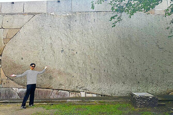 Osaka: Castle and Stone Walls Guided Walking Tour - Who Would Love This Tour?