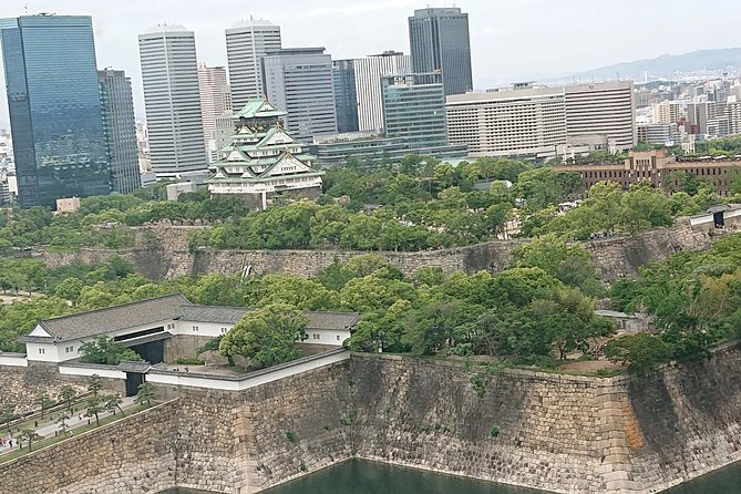 Osaka Castle & Dotonbori Lively One Day Tour - Historical Exploration