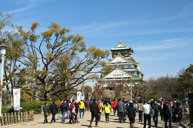 Osaka Castle & Dotonbori Lively One Day Tour - Shopping and Food Market Experience