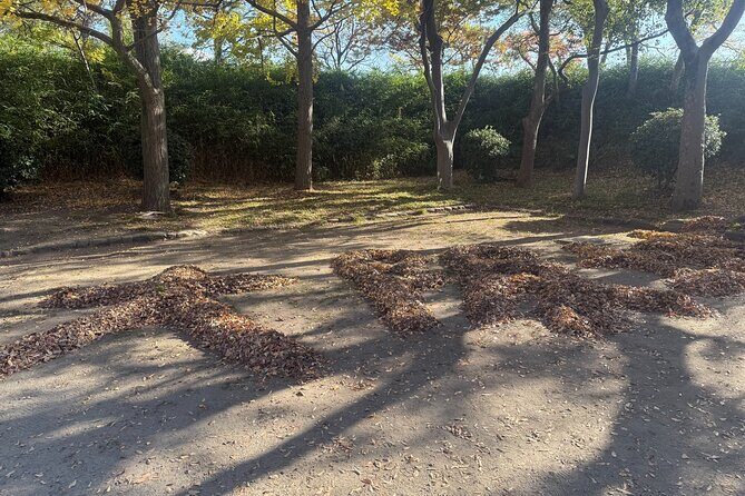 Osaka Castle Guided Tour: Interior, Museum & Gardens - Who Should Consider This Tour?