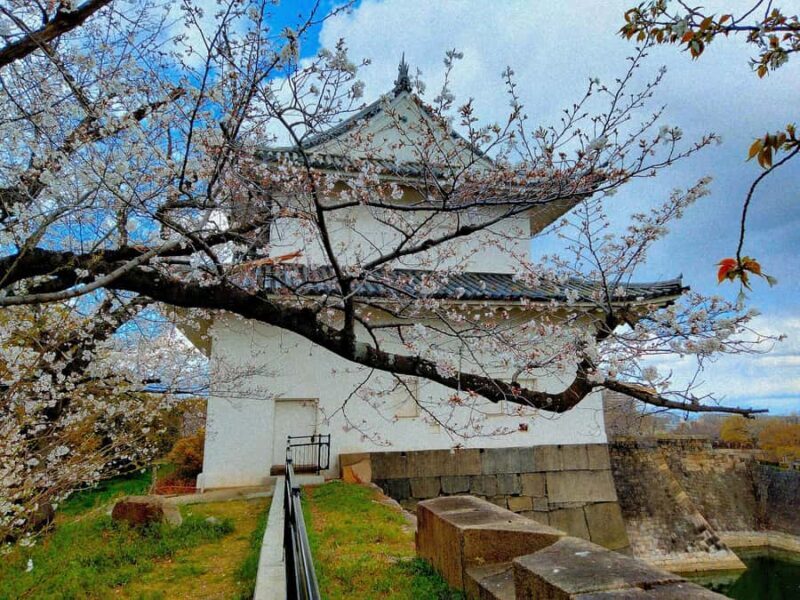 Osaka Castle Hidden Gem Walk Tour + Multilingual Audio Guide - Final Thoughts