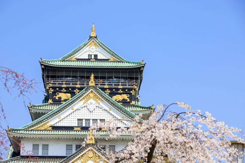 Osaka Castle Historical Private Tour: Stories of Samurai and Shoguns - Who should book this walk