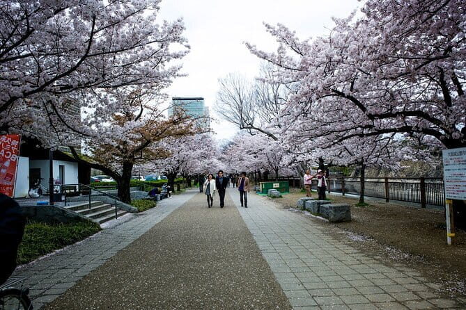 Osaka Castle & Samurai History Walking Tour - A Detailed Look at the Osaka Castle & Samurai History Walking Tour