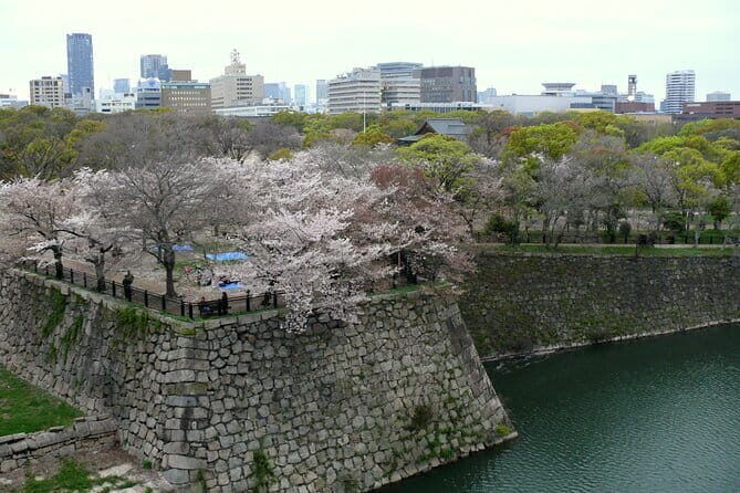 Osaka Castle & Samurai History Walking Tour - A Detailed Look at the Experience