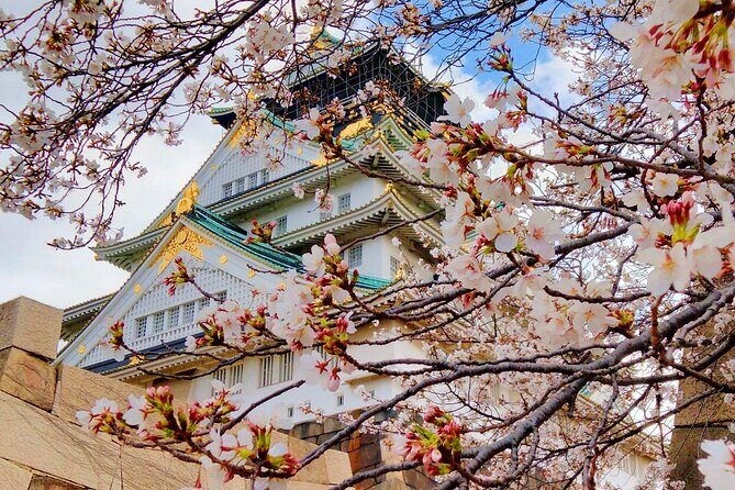 Osaka Castle & Temple Walking Tour with Multilingual Audio Guide - Good To Know