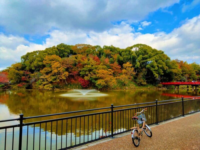 Osaka Castle & Temples Walk Tour + Multilingual Audio Guide - What Makes This Tour Stand Out?