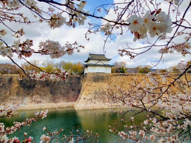 Osaka Castle & Temples Walk Tour + Multilingual Audio Guide - Final Thoughts
