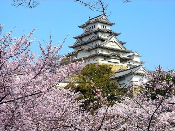 Osaka Castle Ticket With Private Transfer - Private Transfer Details
