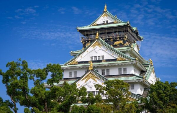 Osaka Castle Ticket With Private Transfer - Customer Feedback Summary