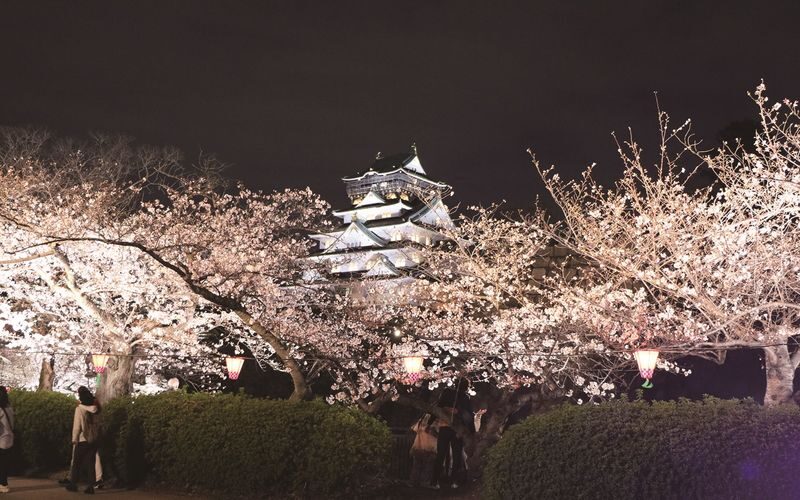 Osaka: Castle Tower Admission / Guided Walking Tour - The tower, city views, and skip-the-line value