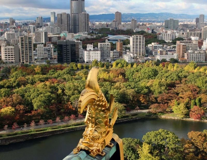 Osaka: Castle Tower Admission / Guided Walking Tour - Who should book this Osaka Castle tour?