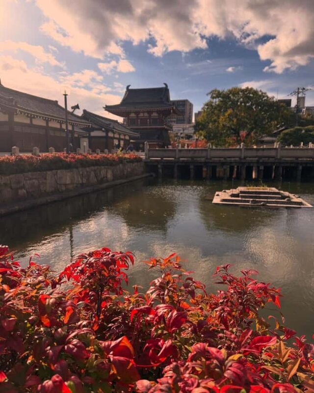 Osaka: Check out the must-see places. - Who Is This Tour Perfect For?