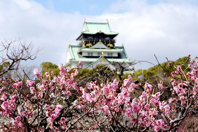 Osaka Cherry Blossom Tour With a Local: 100% Personalized Private - Book Your Personalized Cherry Blossom Tour