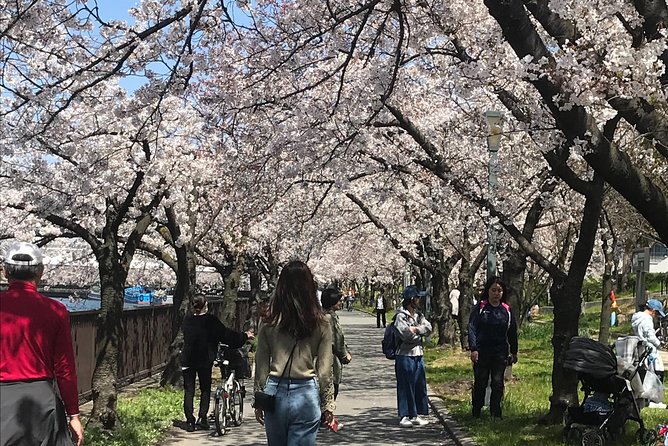 Osaka Cherry Blossom Walk With Local - Start Time and End Point