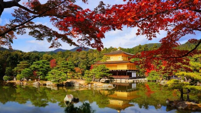 Osaka City English Private Tour Hotel Pickup Sightseeing - Accessibility Features