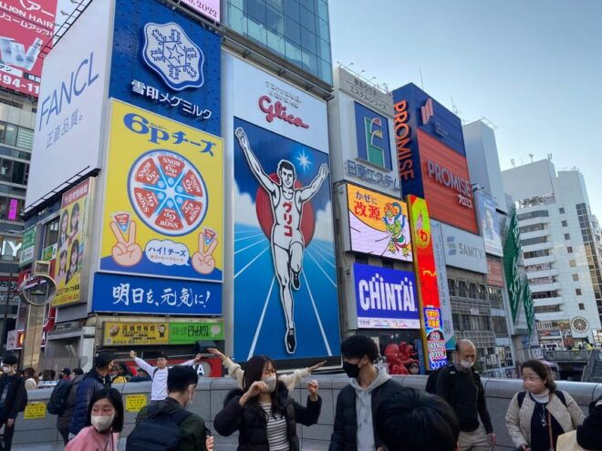 Osaka; City Highlights Walking Tour - Accessibility Features