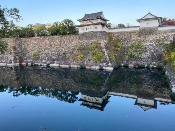 Osaka; City Highlights Walking Tour - Tips for Participants