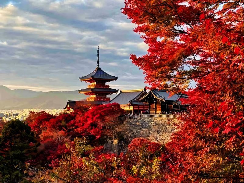 Osaka City/Kyoto/Nara/Uji/Kobe Popular Locations Customized Chartered Car Day Tour - A private Kansai day, built around your priorities
