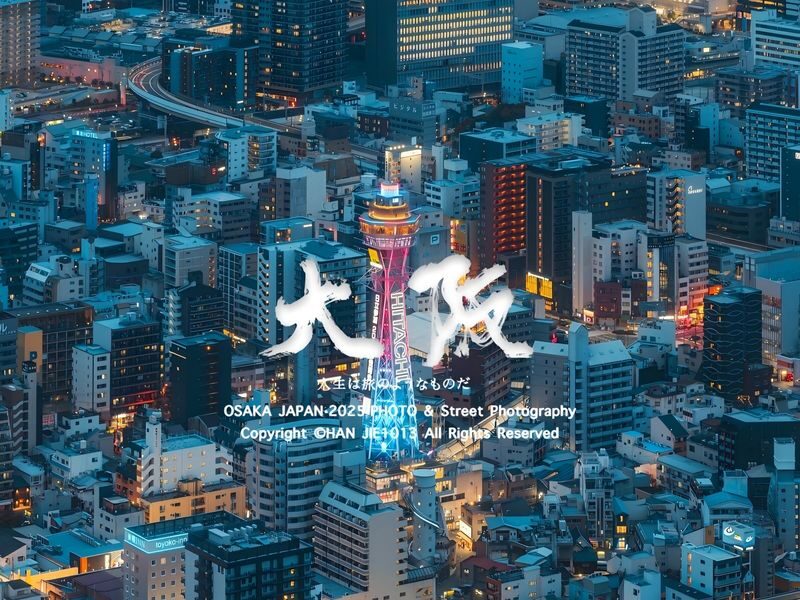 Osaka City/Kyoto/Nara/Uji/Kobe Popular Locations Customized Chartered Car Day Tour - Nara Park, Todai-ji, and a day beyond the deer