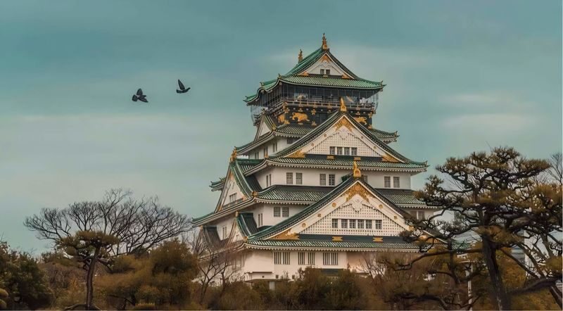 Osaka City/Kyoto/Nara/Uji/Kobe Popular Locations Customized Chartered Car Day Tour - The driver makes the day, but the service is not uniform