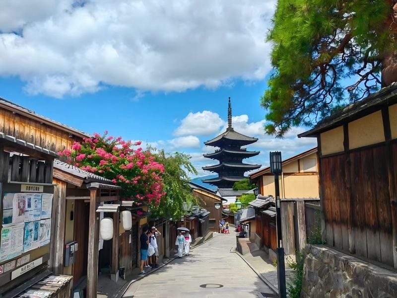 Osaka City/Kyoto/Nara/Uji/Kobe Popular Locations Customized Chartered Car Day Tour - Who should book this private car day