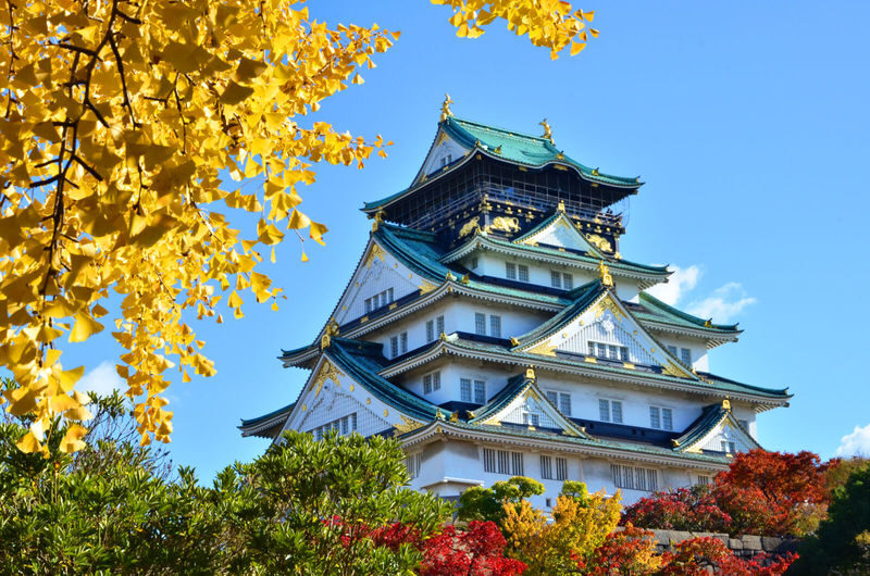 Osaka City, Osaka Castle, Kuromon Market, & Dotonbori Walking Tour - What the price covers, and what it does not