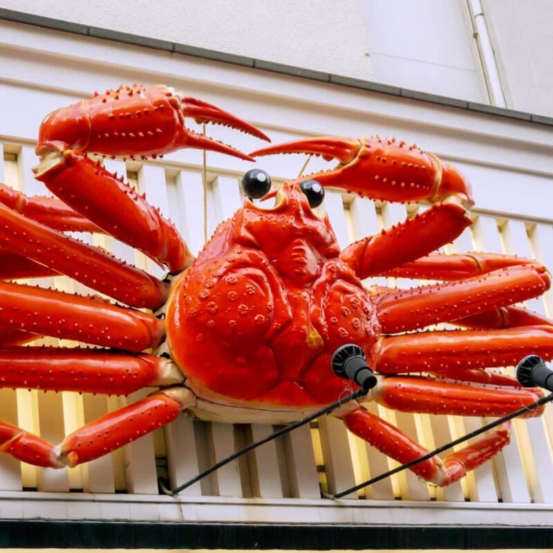 Osaka City Private Sightseeing Tour With Hotel Pick N Drop - Who Will Love This Tour?