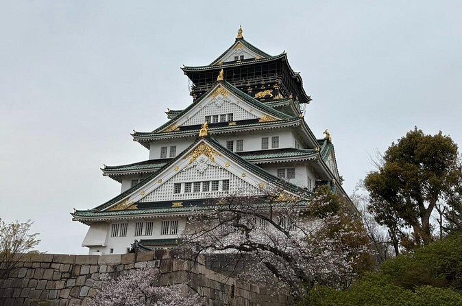 Osaka City Walking Tour - Practical tips for your Osaka walking tour