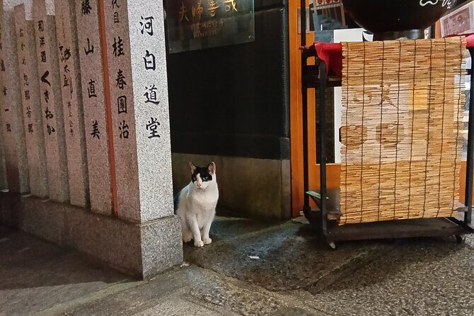 Osaka City Walking Tour - The Sum Up