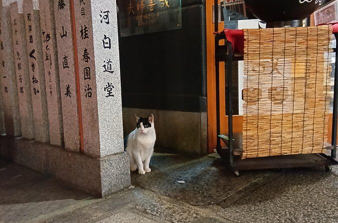 Osaka City Walking Tour - FAQ