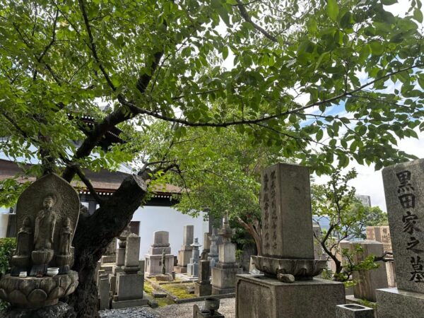 Osaka: Combo Tour of Shitennoji and Isshinji Temples, 2.5h - Inclusions of the Tour