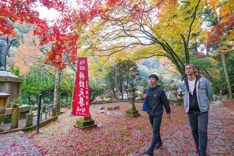 Osaka Day Tour: Katsuo-ji Daruma & Minoh Falls Walk - Minoh Park turns the temple visit into a nature walk