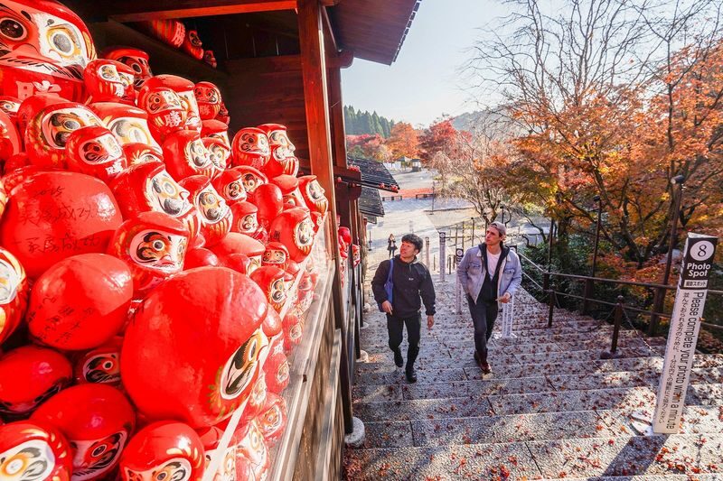 Osaka Day Tour: Katsuo-ji Daruma & Minoh Falls Walk - Lunch rounds out the half-day