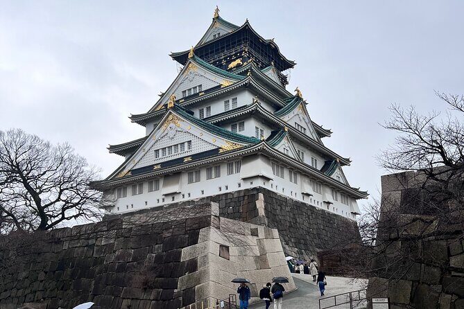 Osaka Day Tour: Secret Spots & Local Treasures - Why This Tour Offers Great Value
