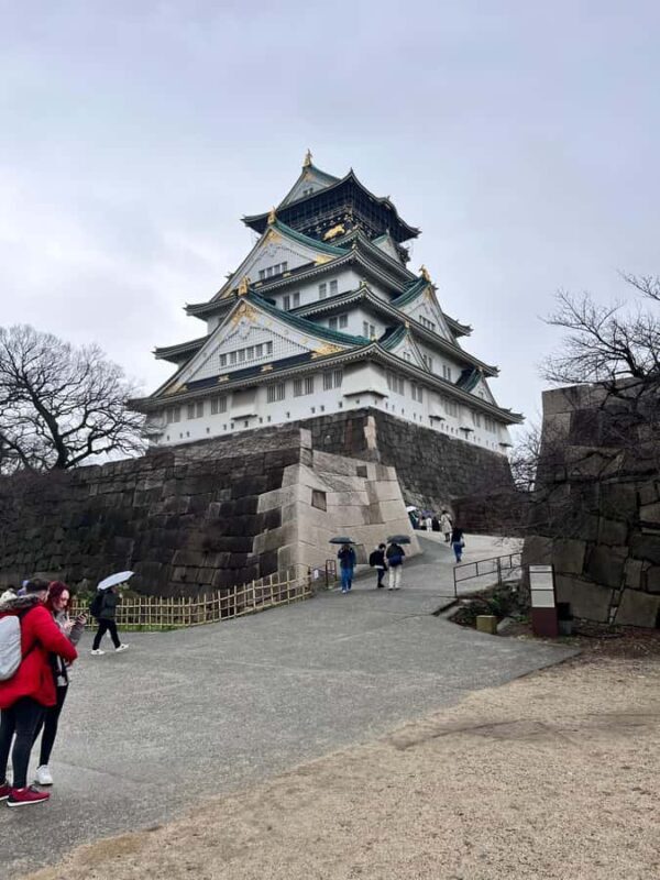 Osaka Day Tour: Secret Spots & Local Treasures - Osaka Day Tour: Secret Spots & Local Treasures — A Practical Guide