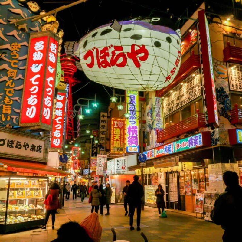 Osaka Day Trip by Private Car Hotel Pickup & English Driver - Who Would Love This Tour?